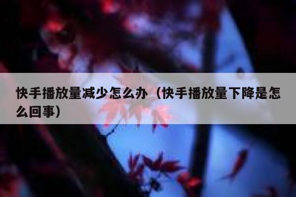 快手播放量减少怎么办（快手播放量下降是怎么回事） 第1张