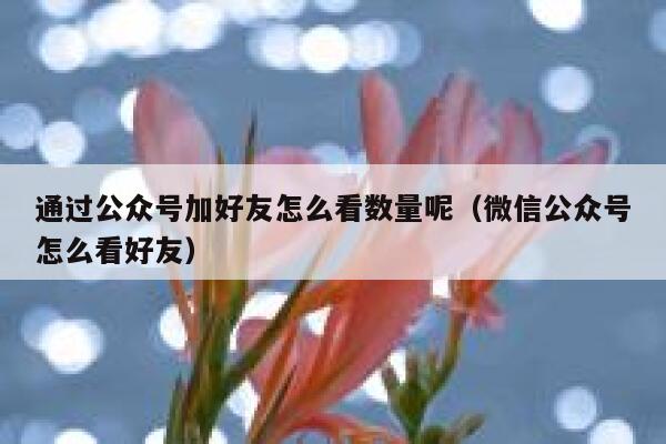 通过公众号加好友怎么看数量呢（微信公众号怎么看好友） 第1张