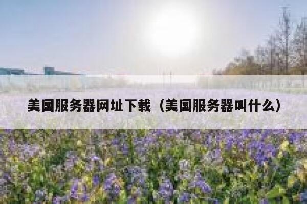 美国服务器网址下载（美国服务器叫什么） 第1张
