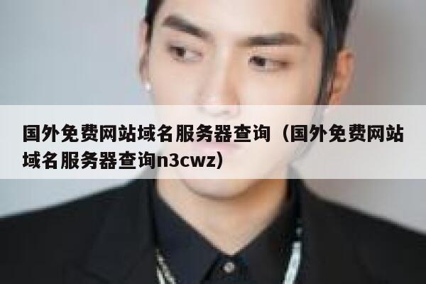 国外免费网站域名服务器查询（国外免费网站域名服务器查询n3cwz） 第1张