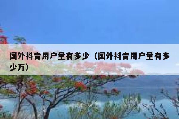 国外抖音用户量有多少（国外抖音用户量有多少万） 第1张