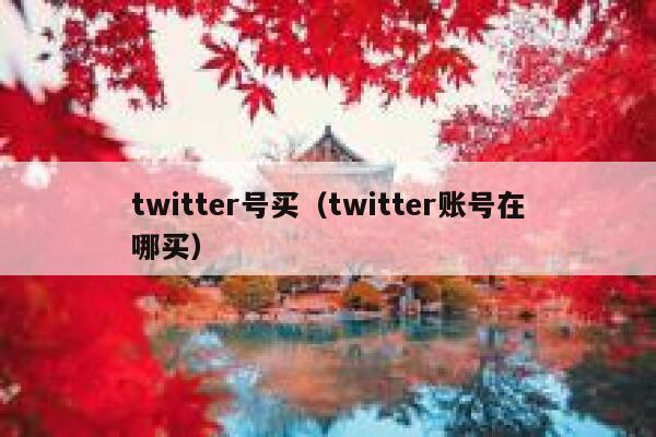 twitter号买(twitter账号在哪买) 第1张 twitter号买(twitter账号在哪买) 第1张