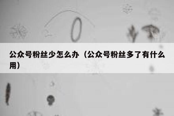 公众号粉丝少怎么办（公众号粉丝多了有什么用） 第1张