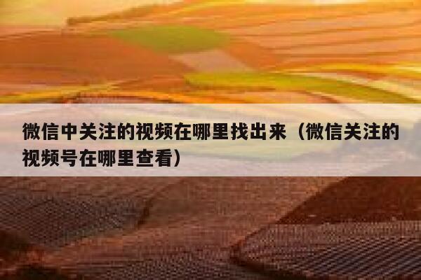 微信中关注的视频在哪里找出来(微信关注的视频号在哪里查看) 第1张 微信中关注的视频在哪里找出来(微信关注的视频号在哪里查看) 第1张