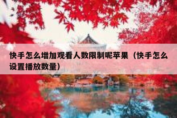 快手怎么增加观看人数限制呢苹果（快手怎么设置播放数量） 第1张