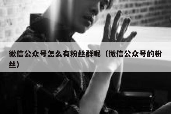 微信公众号怎么有粉丝群呢（微信公众号的粉丝） 第1张