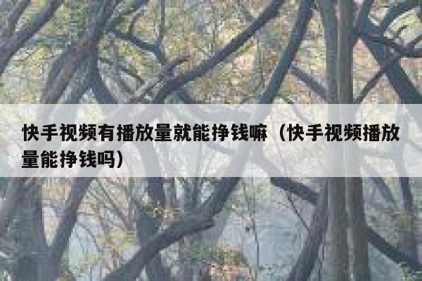 快手视频有播放量就能挣钱嘛(快手视频播放量能挣钱吗) 第1张 快手视频有播放量就能挣钱嘛(快手视频播放量能挣钱吗) 第1张