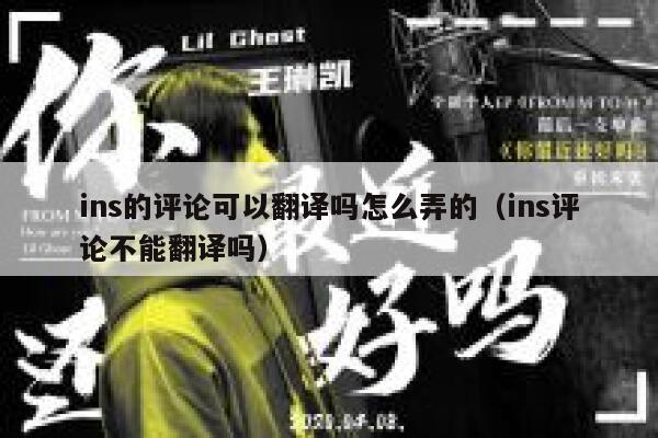 ins的评论可以翻译吗怎么弄的（ins评论不能翻译吗） 第1张
