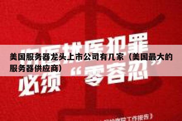 美国服务器龙头上市公司有几家（美国最大的服务器供应商） 第1张