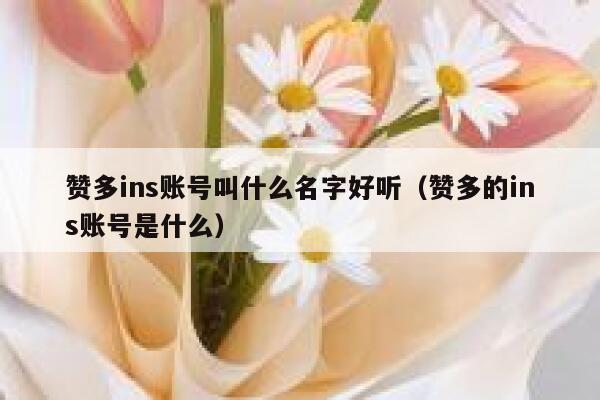 赞多ins账号叫什么名字好听（赞多的ins账号是什么） 第1张