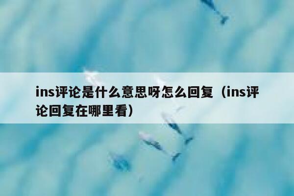 ins评论是什么意思呀怎么回复（ins评论回复在哪里看） 第1张