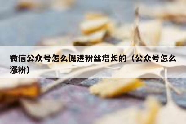 微信公众号怎么促进粉丝增长的（公众号怎么涨粉） 第1张