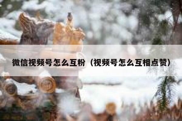 微信视频号怎么互粉（视频号怎么互相点赞） 第1张