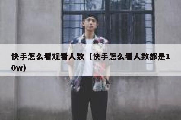 快手怎么看观看人数（快手怎么看人数都是10w） 第1张