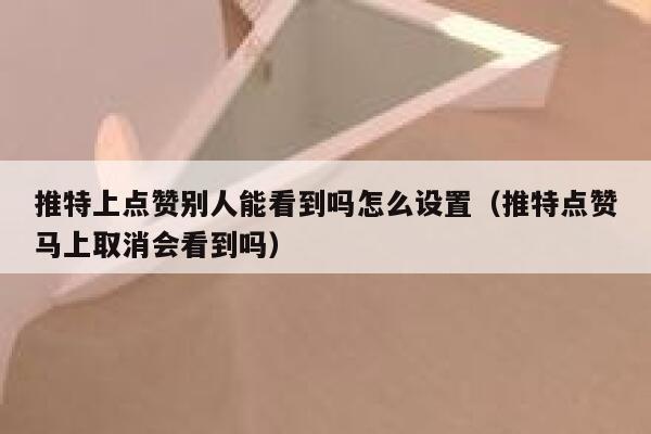 推特上点赞别人能看到吗怎么设置(推特点赞马上取消会看到吗) 第1张 推特上点赞别人能看到吗怎么设置(推特点赞马上取消会看到吗) 第1张