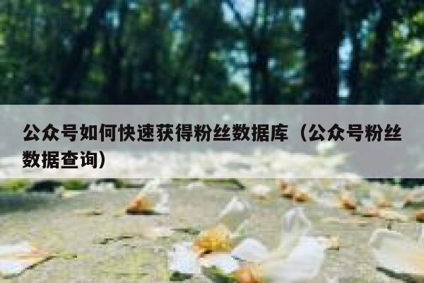 公众号如何快速获得粉丝数据库（公众号粉丝数据查询） 第1张