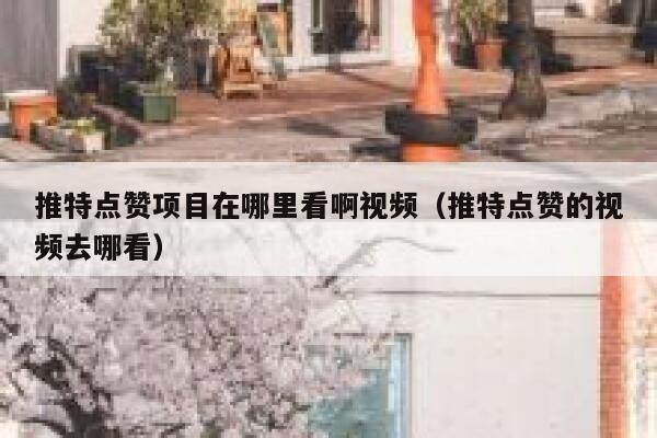 推特点赞项目在哪里看啊视频(推特点赞的视频去哪看) 第1张 推特点赞项目在哪里看啊视频(推特点赞的视频去哪看) 第1张
