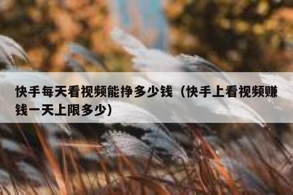 快手每天看视频能挣多少钱（快手上看视频赚钱一天上限多少） 第1张