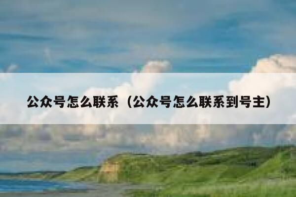 公众号怎么联系（公众号怎么联系到号主） 第1张