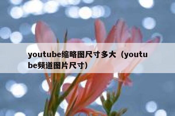 youtube缩略图尺寸多大（youtube频道图片尺寸） 第1张