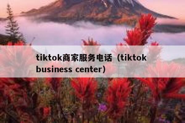 tiktok商家服务电话（tiktok business center） 第1张