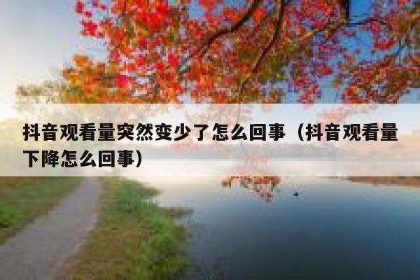 抖音观看量突然变少了怎么回事(抖音观看量下降怎么回事) 第1张 抖音观看量突然变少了怎么回事(抖音观看量下降怎么回事) 第1张