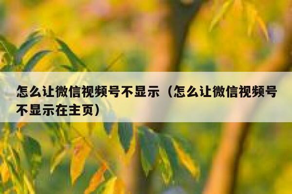 怎么让微信视频号不显示（怎么让微信视频号不显示在主页） 第1张