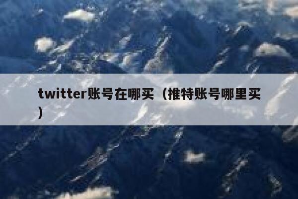 twitter账号在哪买（推特账号哪里买） 第1张