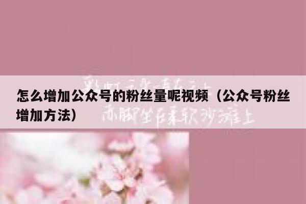 怎么增加公众号的粉丝量呢视频(公众号粉丝增加方法) 第1张 怎么增加公众号的粉丝量呢视频(公众号粉丝增加方法) 第1张