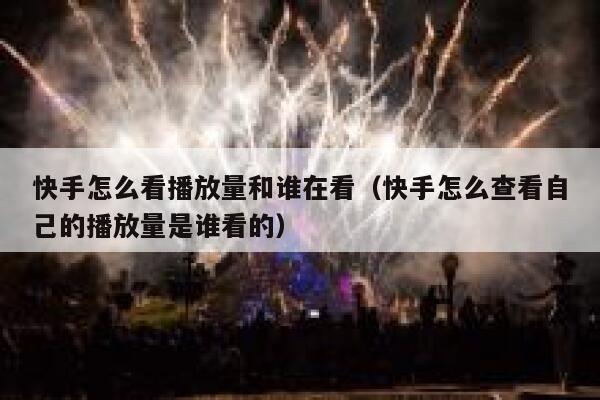 快手怎么看播放量和谁在看（快手怎么查看自己的播放量是谁看的） 第1张