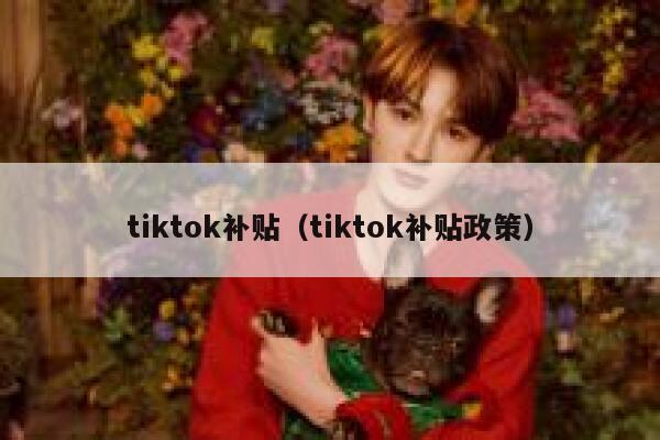 tiktok补贴（tiktok补贴政策） 第1张