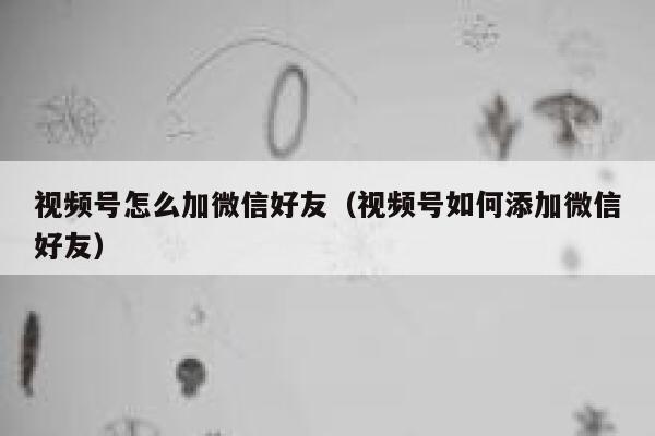 视频号怎么加微信好友（视频号如何添加微信好友） 第1张