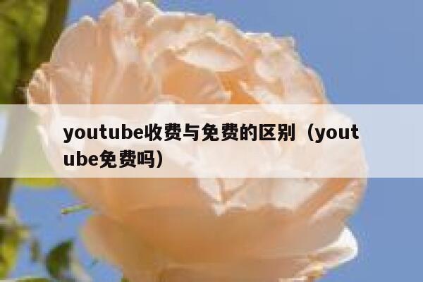 youtube收费与免费的区别（youtube免费吗） 第1张