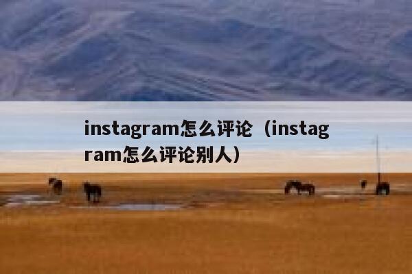 instagram怎么评论（instagram怎么评论别人） 第1张