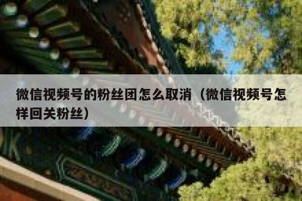 微信视频号的粉丝团怎么取消（微信视频号怎样回关粉丝） 第1张