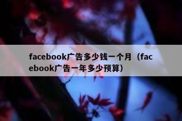 facebook广告多少钱一个月（facebook广告一年多少预算） 第1张