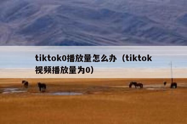 tiktok0播放量怎么办（tiktok视频播放量为0） 第1张