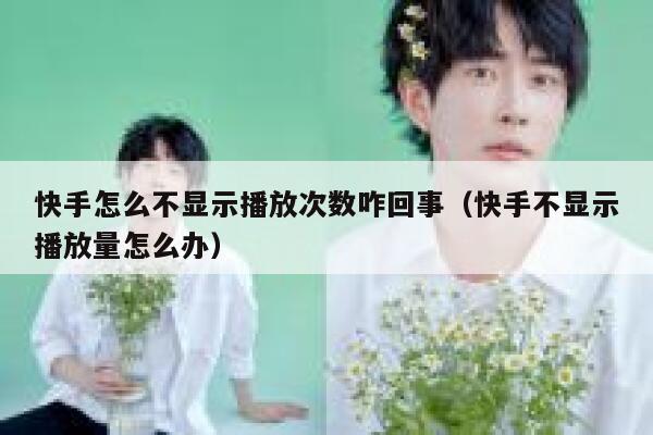 快手怎么不显示播放次数咋回事（快手不显示播放量怎么办） 第1张