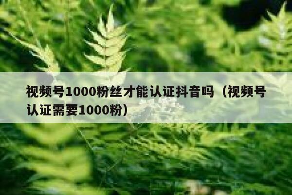视频号1000粉丝才能认证抖音吗(视频号认证需要1000粉) 第1张 视频号1000粉丝才能认证抖音吗(视频号认证需要1000粉) 第1张