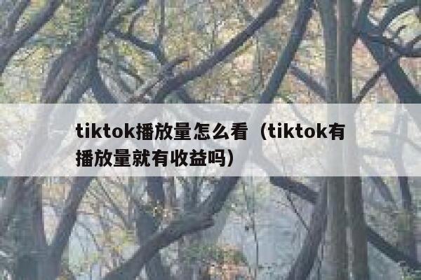 tiktok播放量怎么看（tiktok有播放量就有收益吗） 第1张
