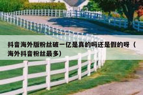 抖音海外版粉丝破一亿是真的吗还是假的呀（海外抖音粉丝最多） 第1张