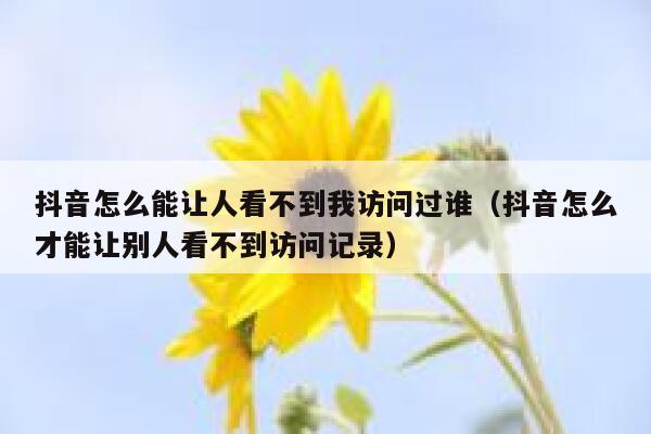 抖音怎么能让人看不到我访问过谁(抖音怎么才能让别人看不到访问记录) 第1张 抖音怎么能让人看不到我访问过谁(抖音怎么才能让别人看不到访问记录) 第1张