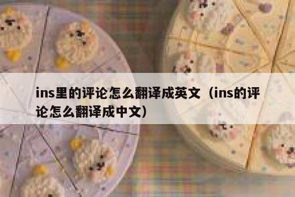 ins里的评论怎么翻译成英文（ins的评论怎么翻译成中文） 第1张