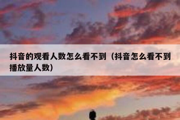 抖音的观看人数怎么看不到(抖音怎么看不到播放量人数) 第1张 抖音的观看人数怎么看不到(抖音怎么看不到播放量人数) 第1张