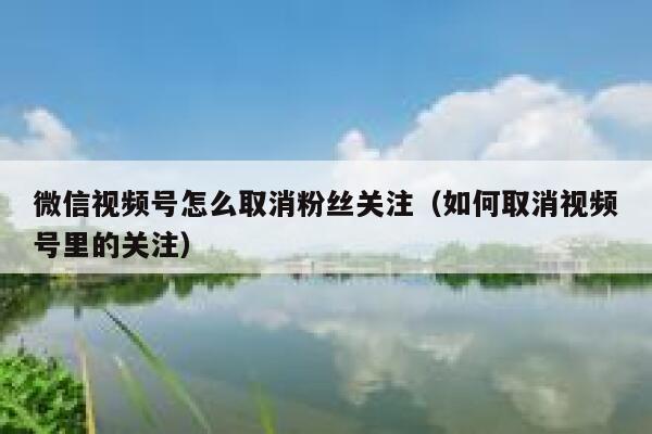 微信视频号怎么取消粉丝关注(如何取消视频号里的关注) 第1张 微信视频号怎么取消粉丝关注(如何取消视频号里的关注) 第1张