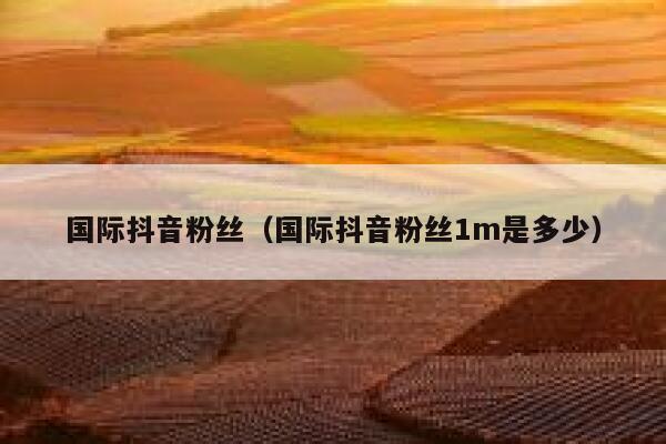 国际抖音粉丝（国际抖音粉丝1m是多少） 第1张