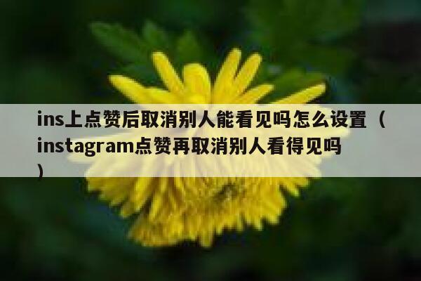 ins上点赞后取消别人能看见吗怎么设置（instagram点赞再取消别人看得见吗） 第1张