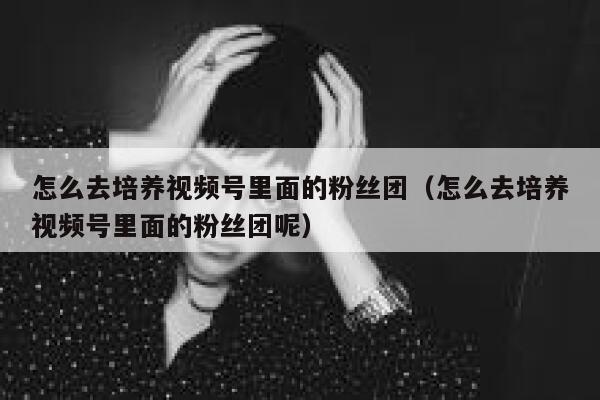 怎么去培养视频号里面的粉丝团（怎么去培养视频号里面的粉丝团呢） 第1张
