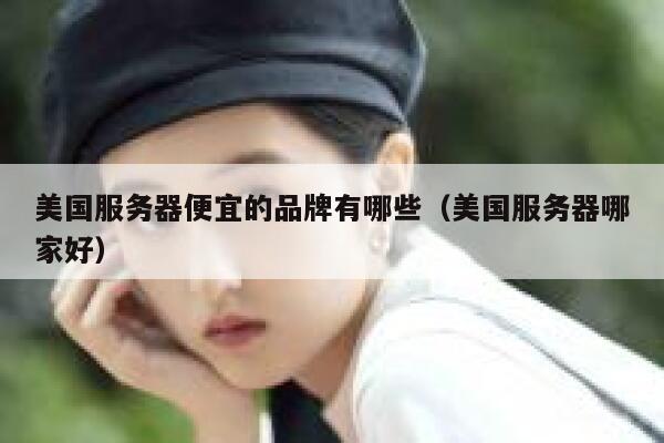 美国服务器便宜的品牌有哪些（美国服务器哪家好） 第1张