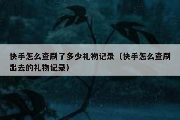 快手怎么查刷了多少礼物记录（快手怎么查刷出去的礼物记录） 第1张